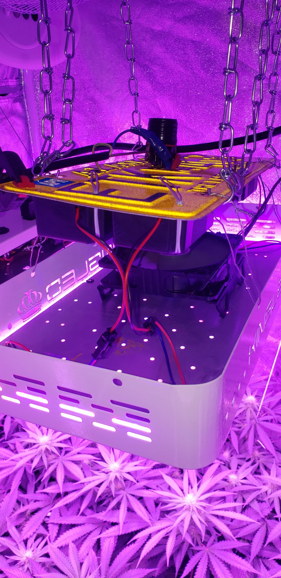 Alaska 1500w complete