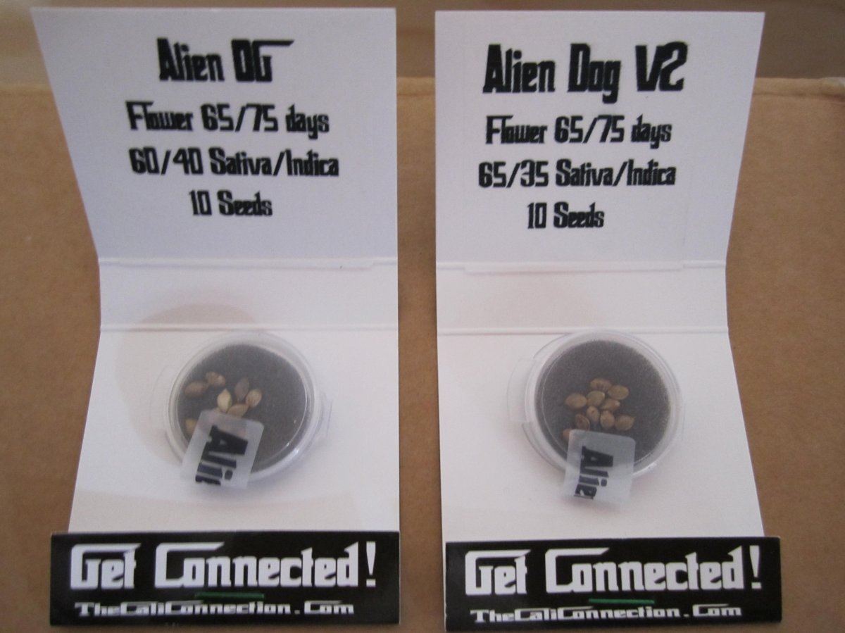 Alien 12