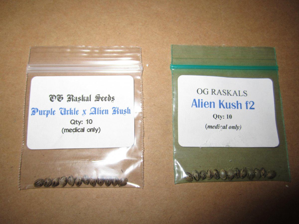 Alien 22
