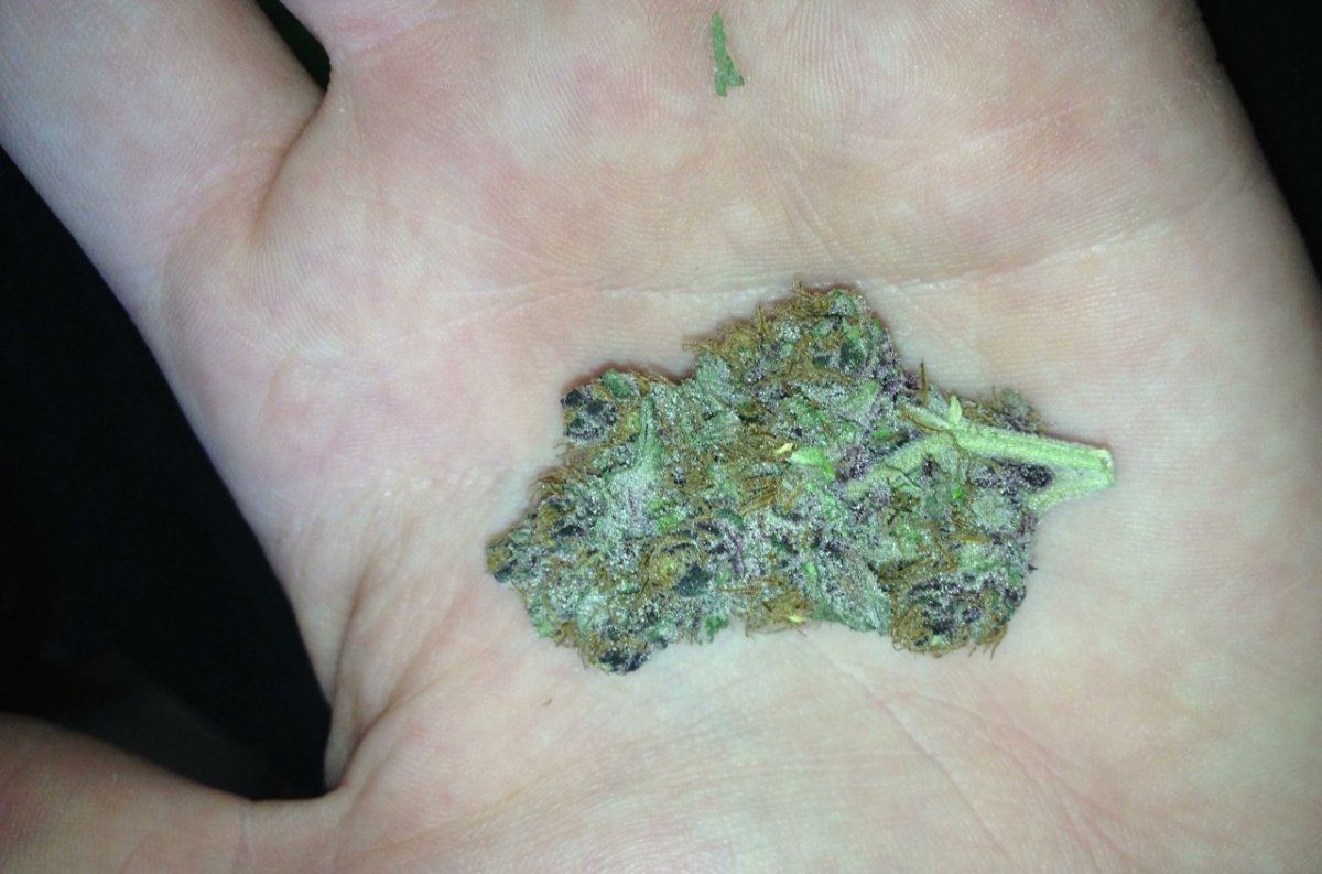 Alien Bubba