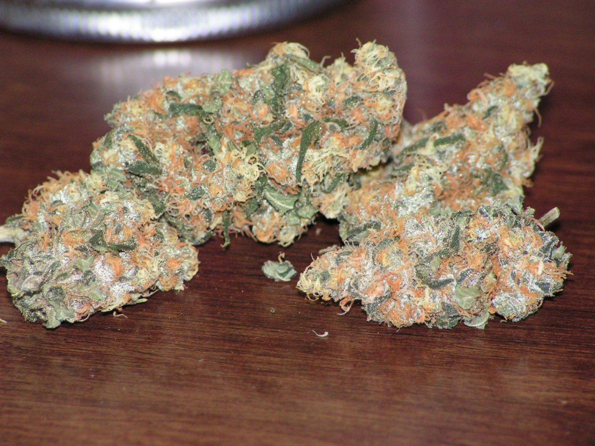 Alien cookie 9 1