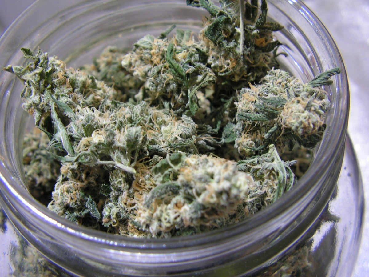 Alien cookie 9 15