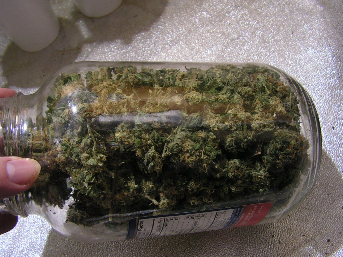 Alien cookie 9 17