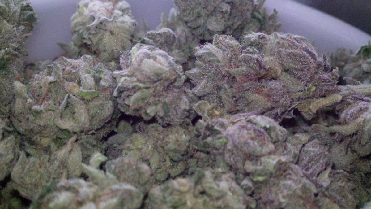 Alien fire kush