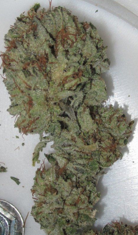 Alien Fire OG 1 10282012