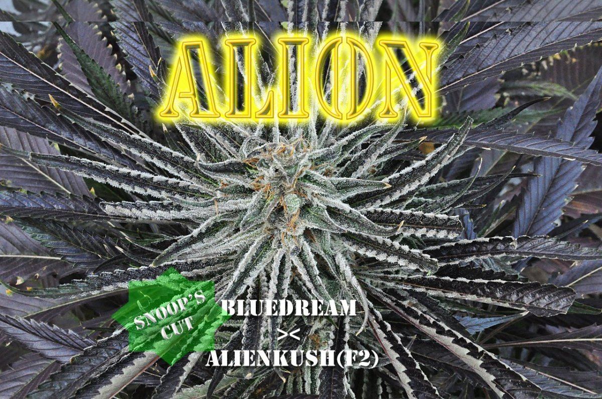 Alionstick