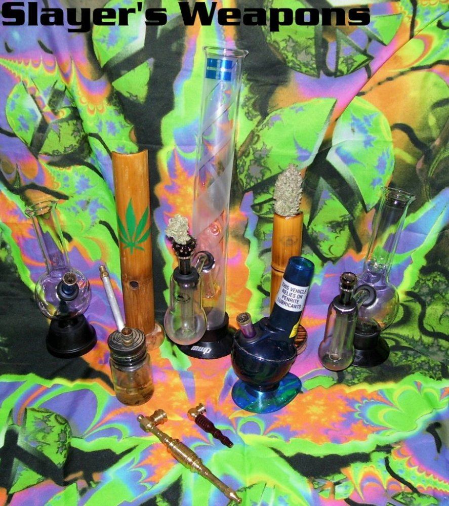 Allbongs