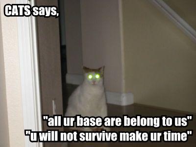 Allyuorbasecat