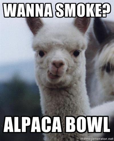 Alpaca bowl