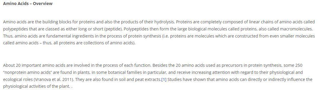 Amino Acids   Overview