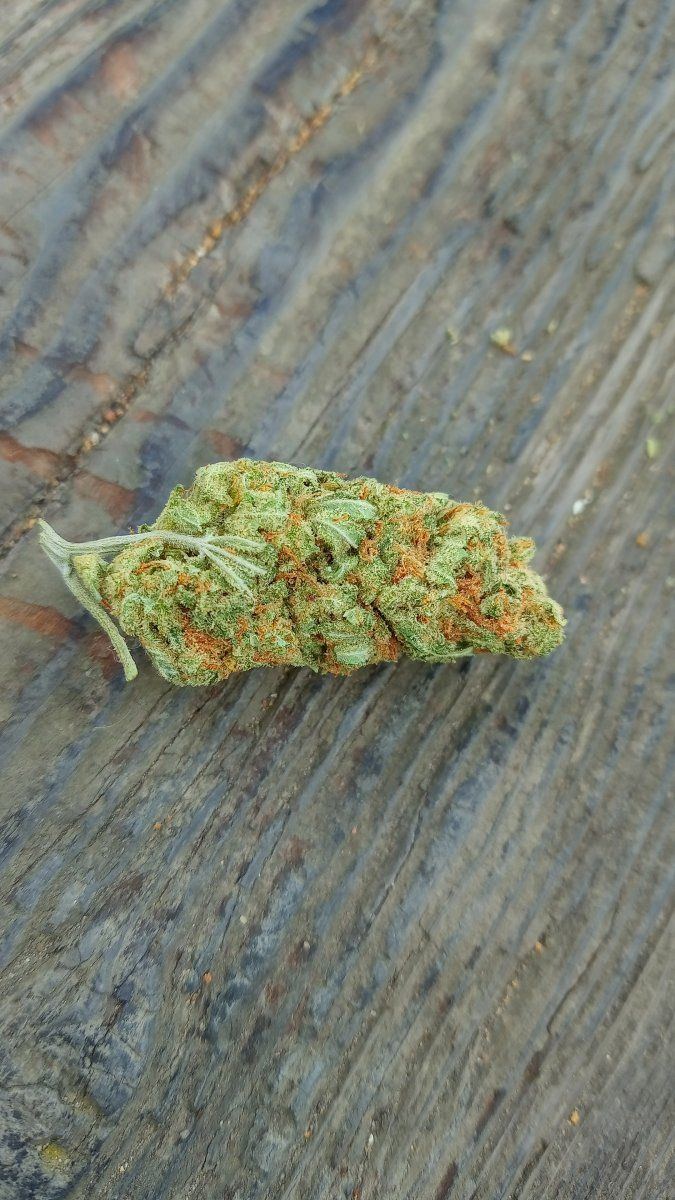 Amnesia