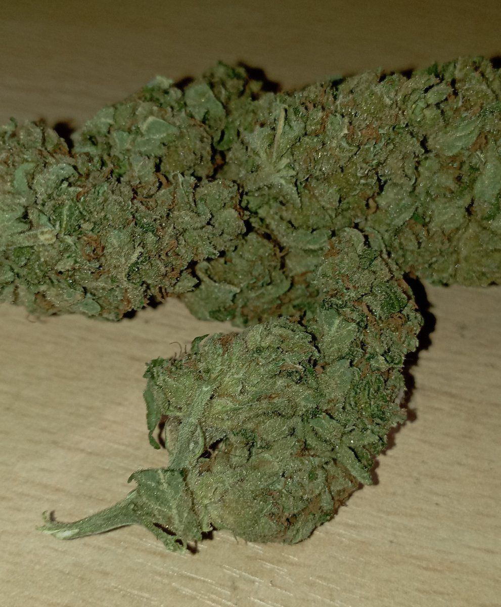 Amnesia