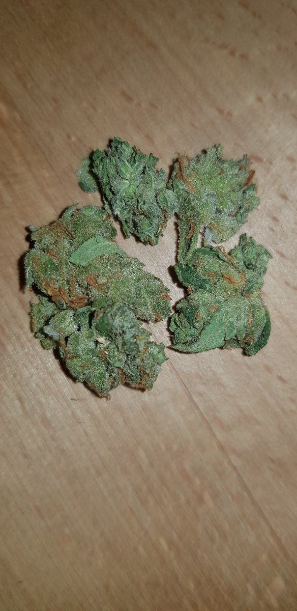Amsterdam 22102022 10