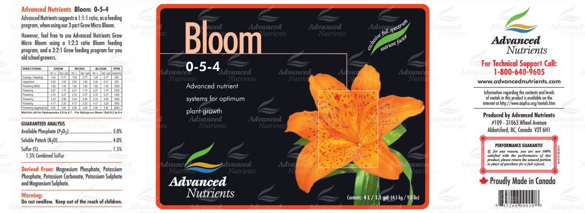 AN 3part Bloom