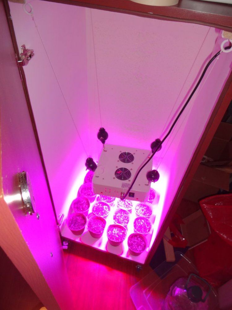 And so it begins my first led grow with diy cabinet 11