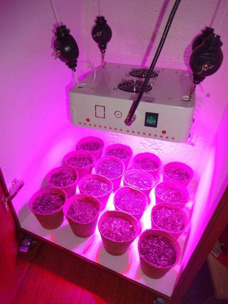 And so it begins my first led grow with diy cabinet 12