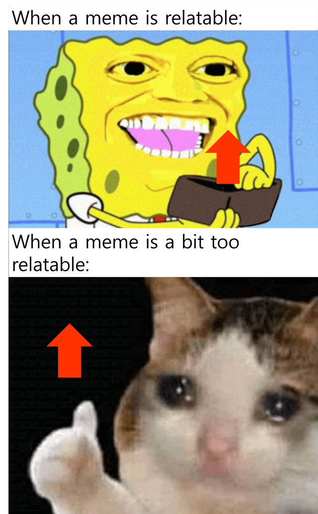 Animal meme is relatable meme is bit too relatable