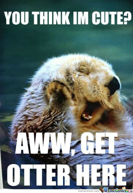 Animal pun o 575835