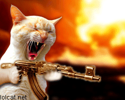Animcatak47gif