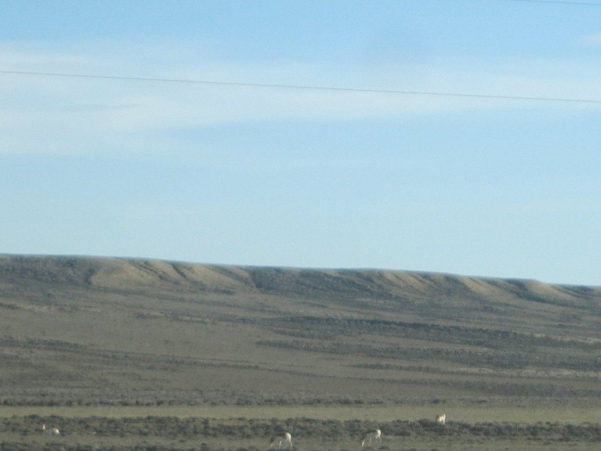 Antelope in WY 4 2014 IMG 6347