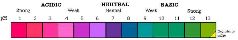 Anthocyanin scale 2
