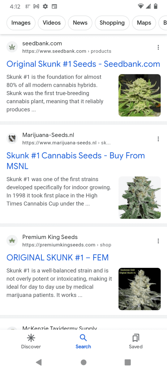 Anybody grown out these skunk seeds