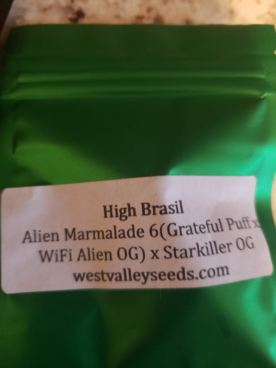 Anyone know anything about alien marmalad x starfighter og