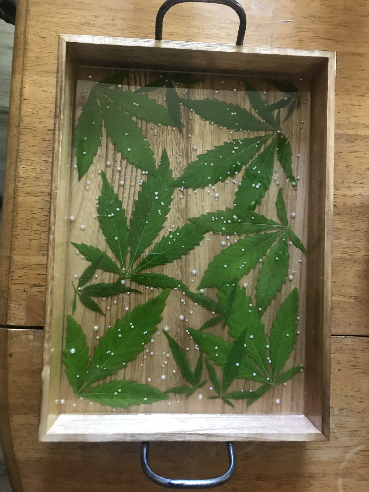 Anyone want a cannabis serving tray