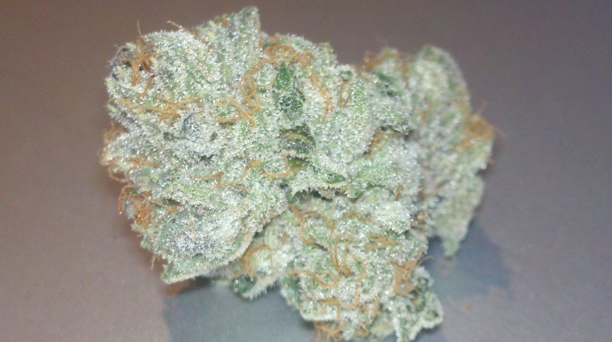 Aogbud