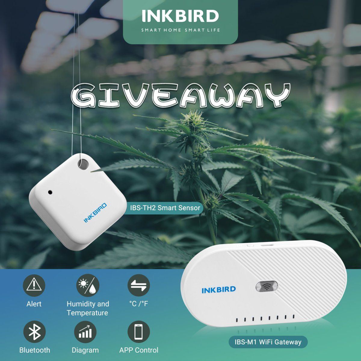 April inkbird giveaway   to win ibs th2 wireless hygrometer and ibs m1 wifi gateway