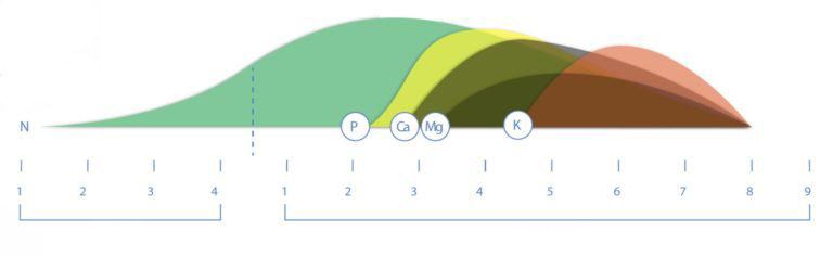 Aptus chart 768x237