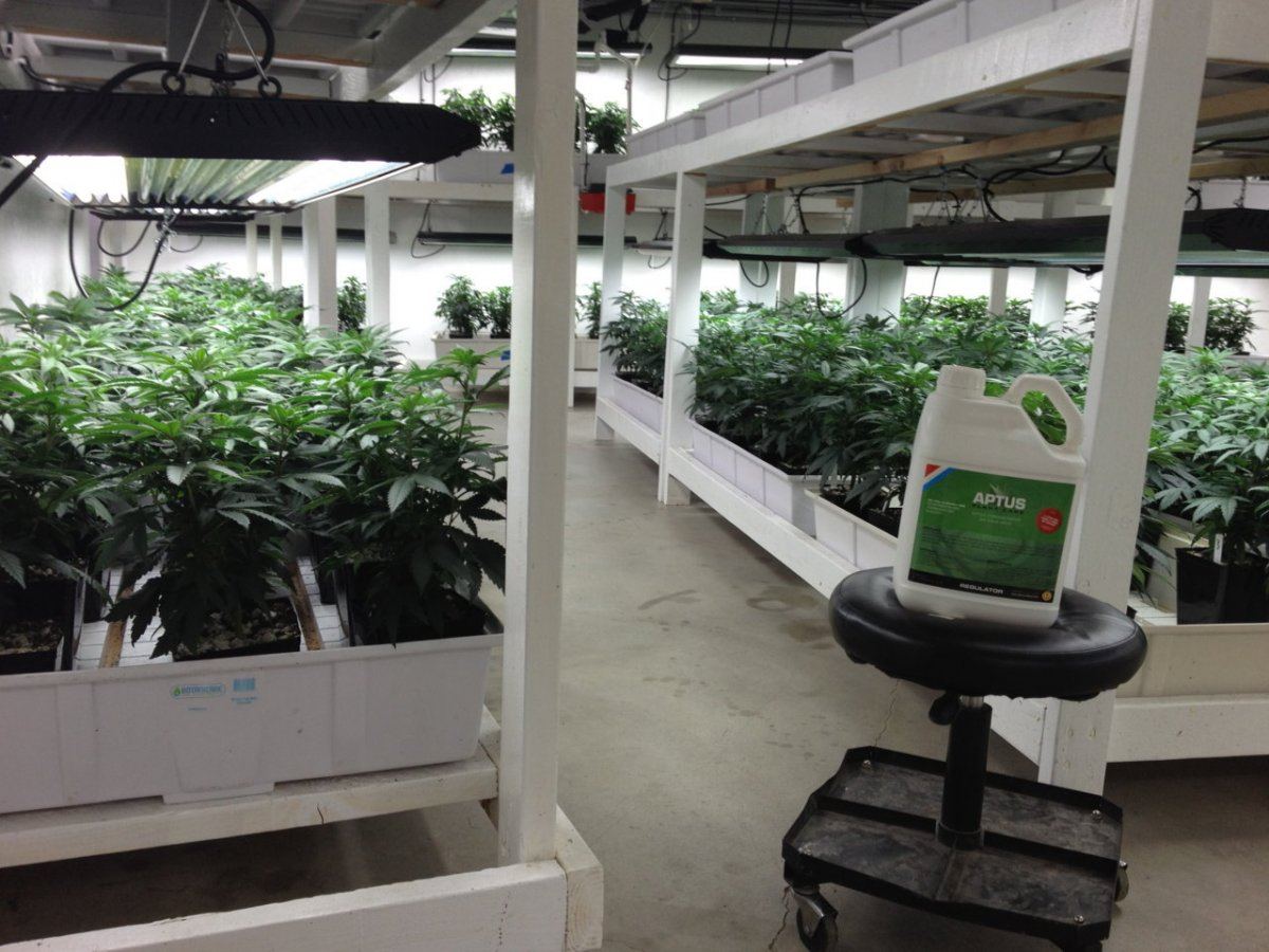 Aptus nutrients 4