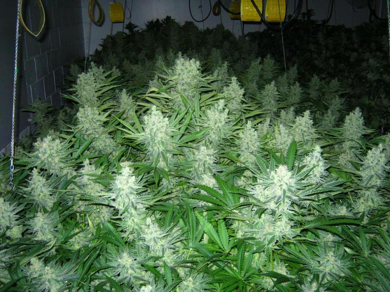Aptus round 2 week 6 071