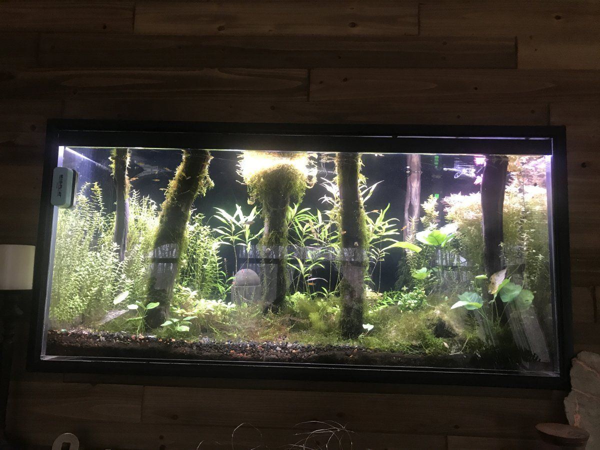 Aquarium