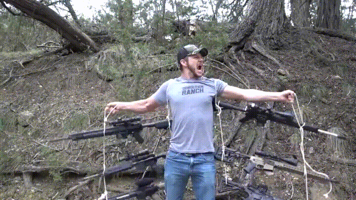 AR15