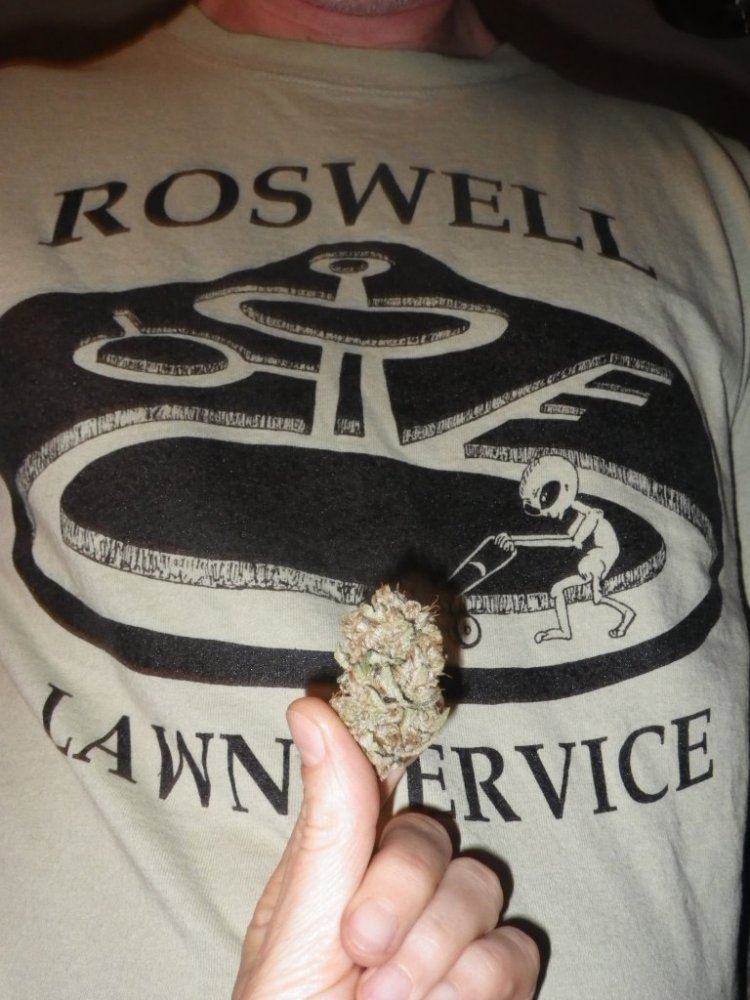 ARC 9 week bud smoke report 004