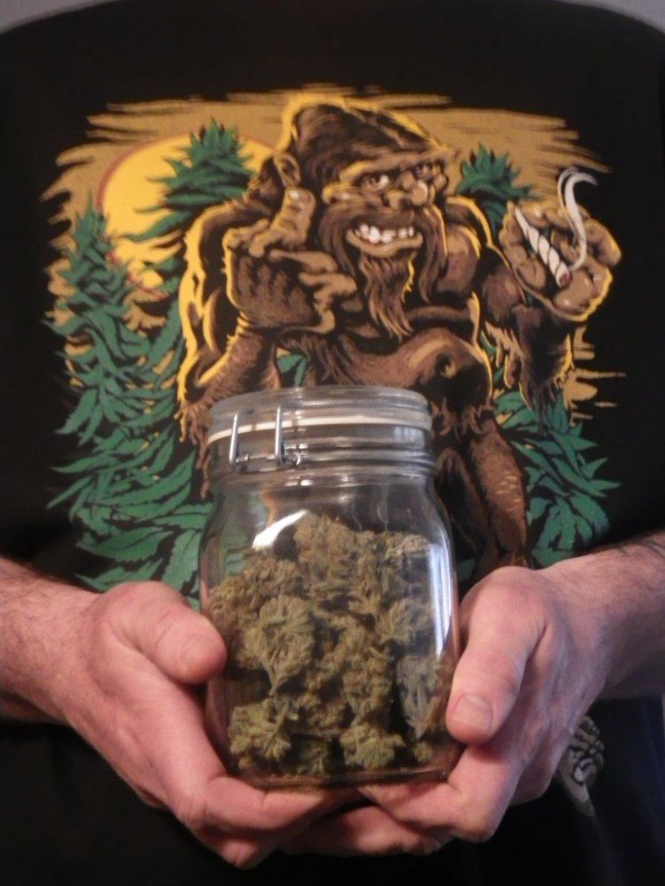 ARC 9 week bud smoke report 005