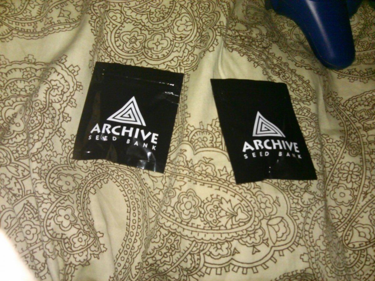 Archive7