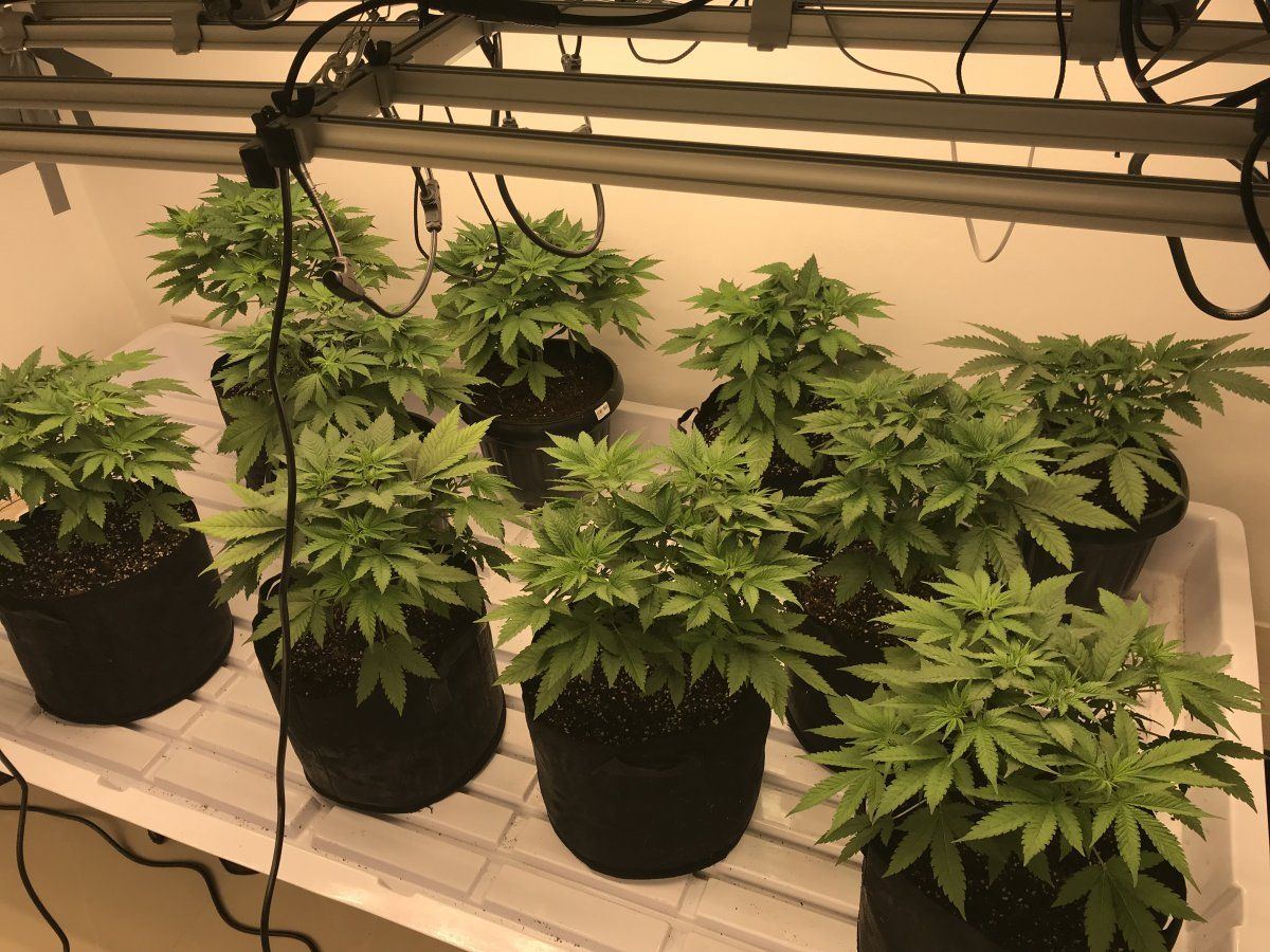 Are these ready to flip 5