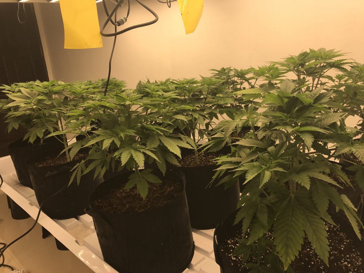 Are these ready to flip 6