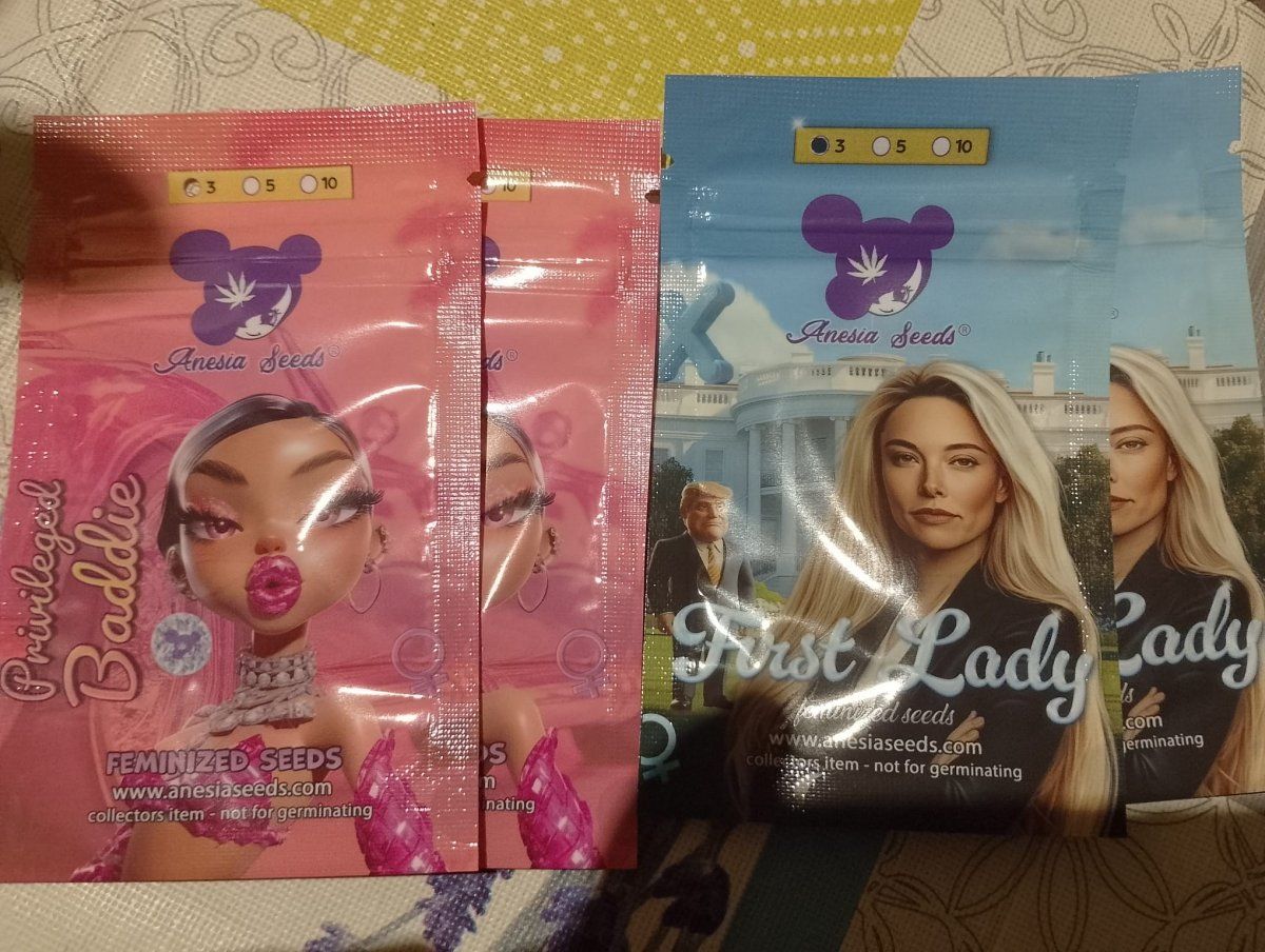 Asd