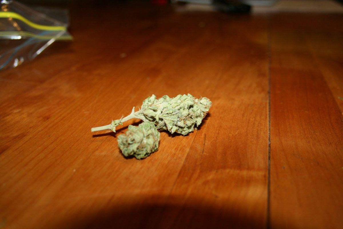 Atf flower 1