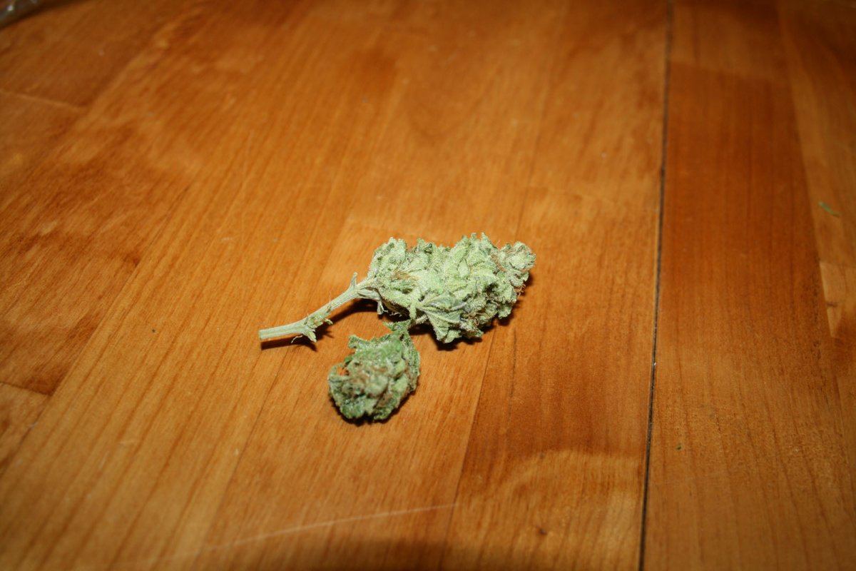 Atf flower 2