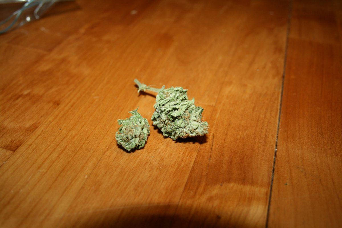 Atf flower 3