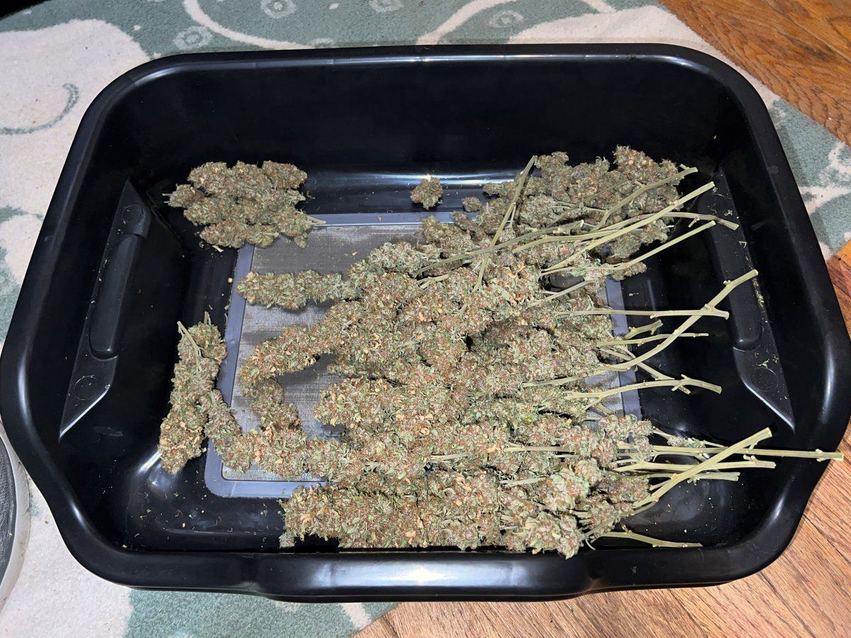 Atf harvest