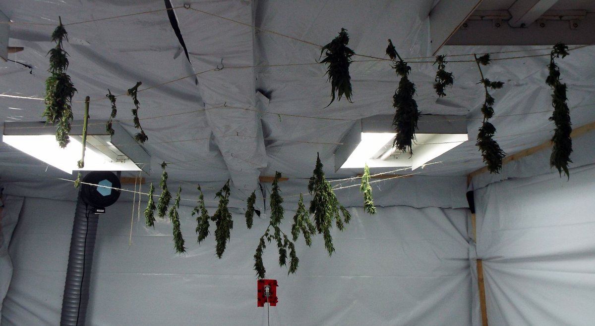 Aug29 drying
