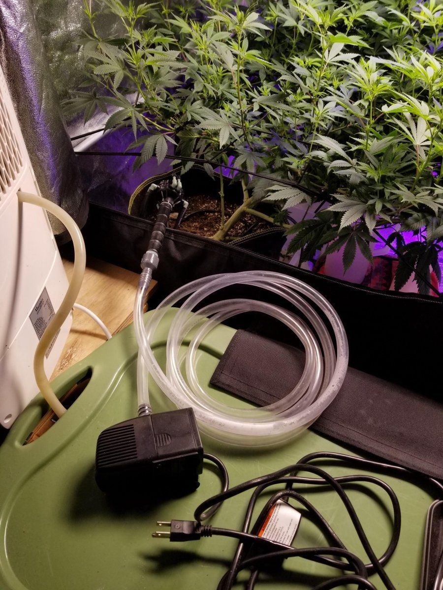Auto irrigate