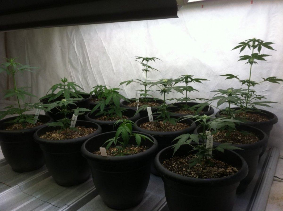 Autos