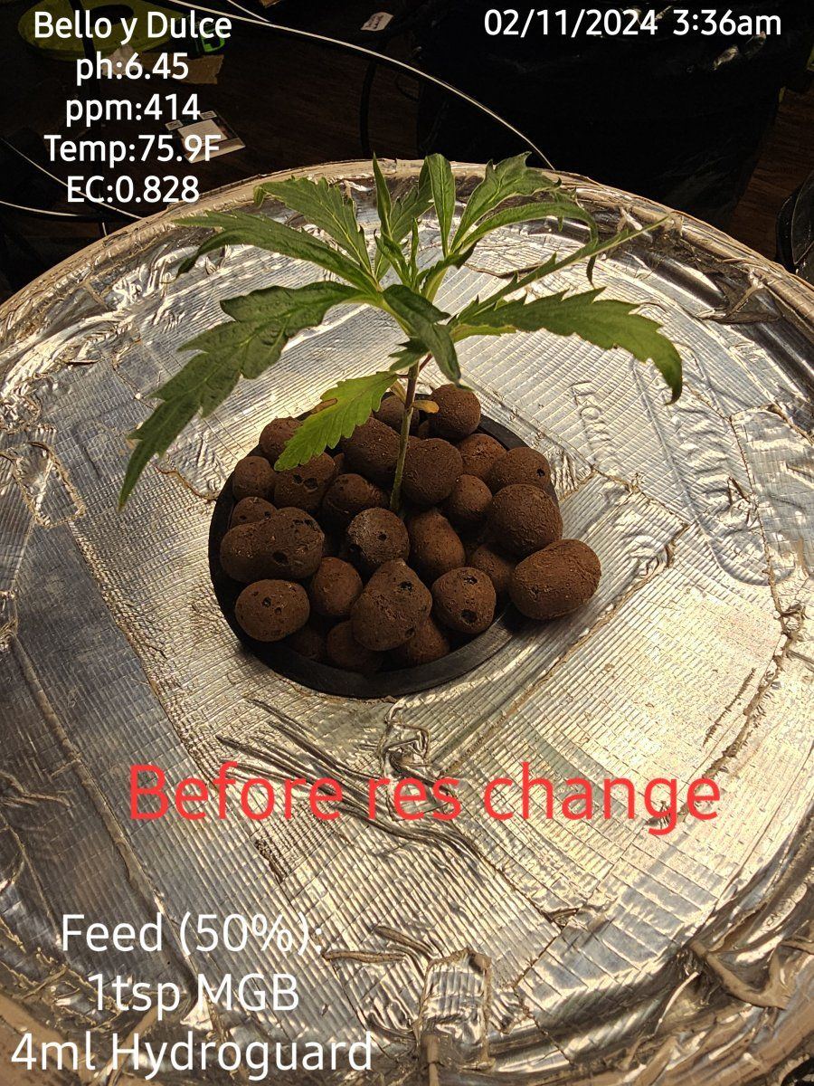 Autos week 4 of grow3 of feed are these readings okay 5