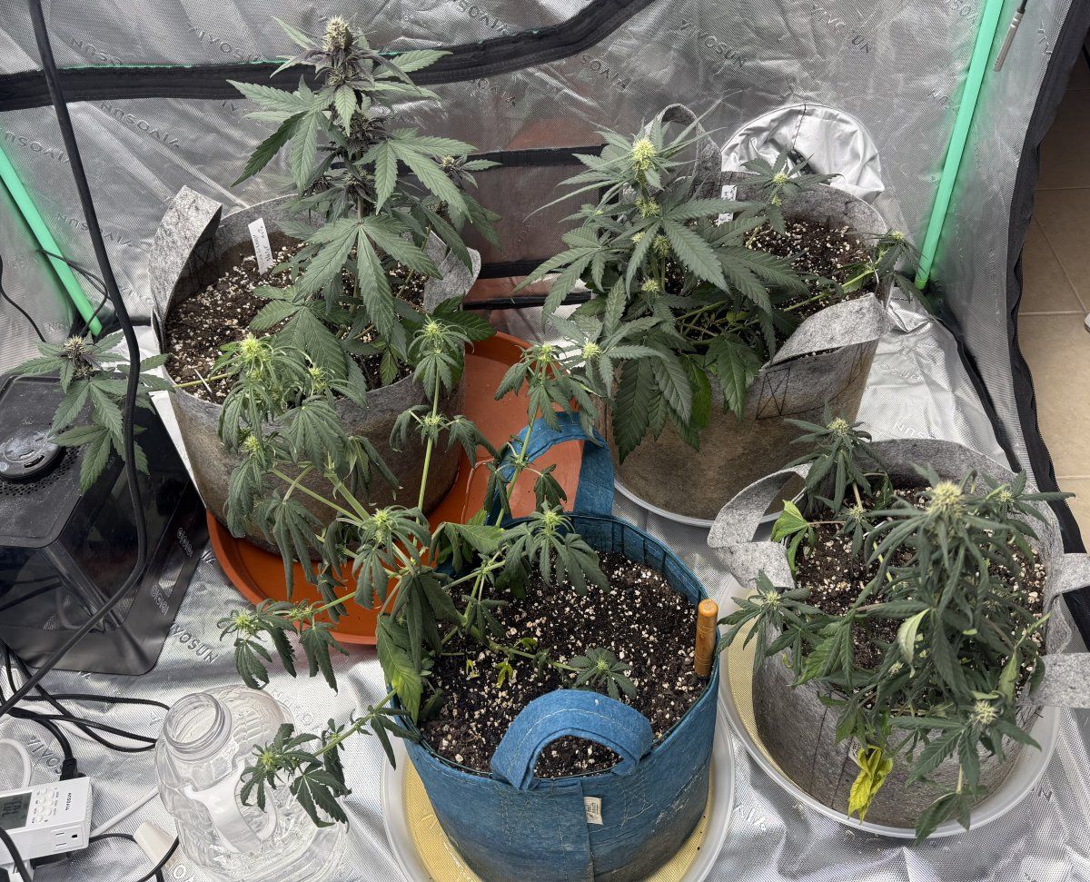 Autos  05 12 2025 01